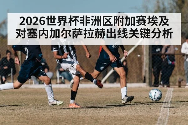 2026世界杯非洲区附加赛埃及对塞内加尔萨拉赫出线关键分析